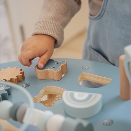 Activity Table - Blue